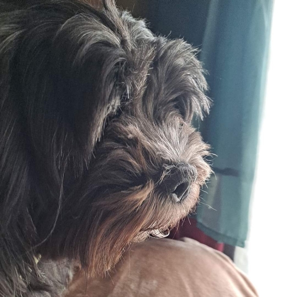 Meet your Posher, Kim - Picture 2 of 3